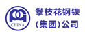 攀枝花鋼鐵(集團)公司